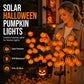 🎃 Final Hours Flash Sale! ⚡🦇 50% OFF! 👻 Waterproof Halloween Pumpkin Solar Branch Lights