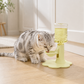 🐱 LIMITED TIME OFFER – 50% OFF! 💥 Adjustable Height Cat Water Fountain – 3-Level Adjustment, Non-Slip & Auto-Refill ✨