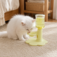 🐱 LIMITED TIME OFFER – 50% OFF! 💥 Adjustable Height Cat Water Fountain – 3-Level Adjustment, Non-Slip & Auto-Refill ✨