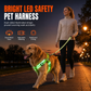 🌙 50% OFF! 🐕 Adjustable LED Dog Harness – Luminous Flashing Pet Chest Strap – Be Seen & Stay Safe at Night ✨