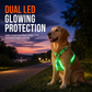 🌙 50% OFF! 🐕 Adjustable LED Dog Harness – Luminous Flashing Pet Chest Strap – Be Seen & Stay Safe at Night ✨