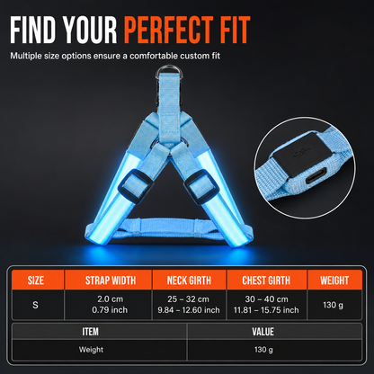 🌙 50% OFF! 🐕 Adjustable LED Dog Harness – Luminous Flashing Pet Chest Strap – Be Seen & Stay Safe at Night ✨
